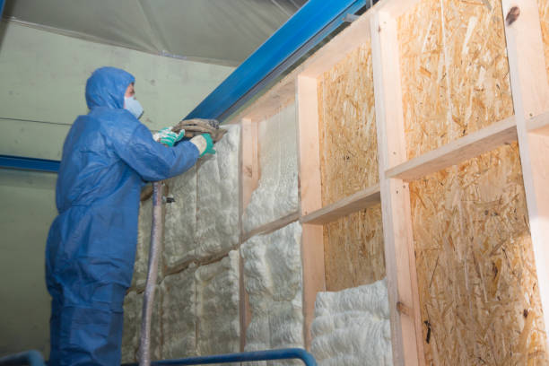 Best Professional Insulation Contractor  in Landen, OH